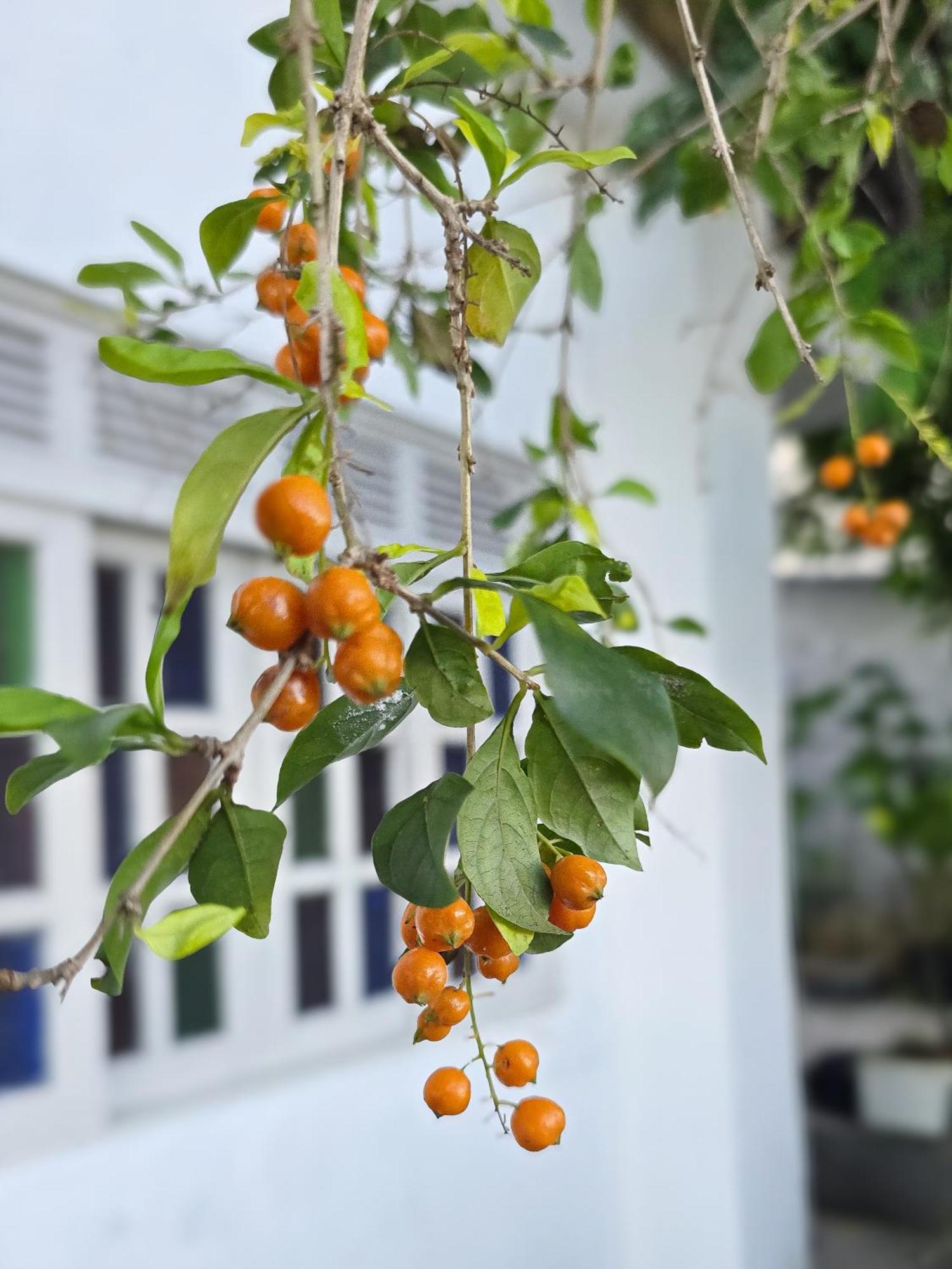 Hostel Chico Lessa Vitoria Ngoại thất bức ảnh